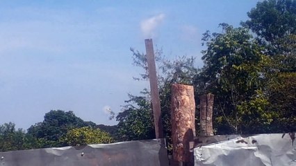 Boeing 777-300ER PT-MUD on final approach coming from Guarulhos to Manaus