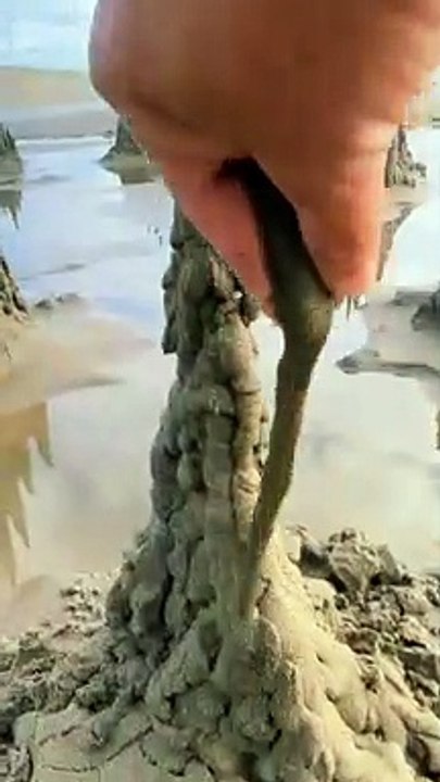 epicbeach-2022 full hd