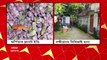 CBI Raid: বিজেপি কর্মীকে খুনের অভিযোগে, নন্দীগ্রামে তৃণমূল নেতা আবু তাহের-সহ ৩ জনের বাড়িতে তল্লাশি চালাল CBI। Bangla News