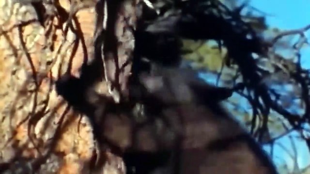 The Best Of Animal Attack 2022 - Most Amazing Moments Of Wild Animal Fight! Wild Discovery Animal p4