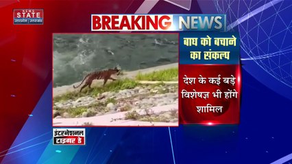 International Tiger Day : Gorakhpur में बाघ संरक्षण के लिए कार्यशाला | UP News |