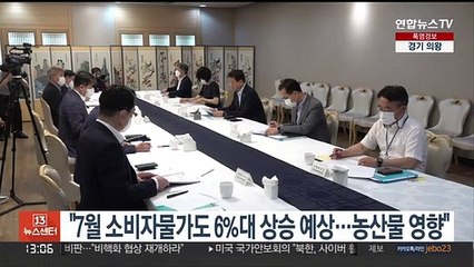 "7월 소비자물가도 6%대 상승 예상…농산물 영향"