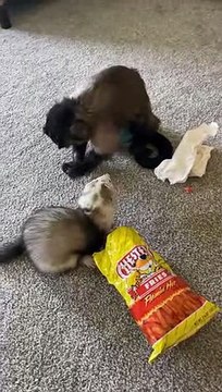 Don’t worry Start your day with Gaitlyn Rae ‍♀️ when you’re tired of waiting on mom to make breakfast