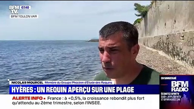 Hyères: le requin bleu aperçu sur une plage n'a toujours pas été évacué