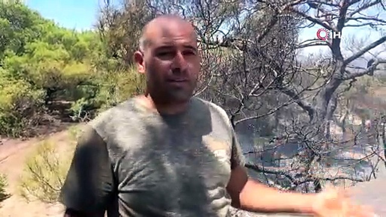 Antalya’da çamlık alandaki yangın kontrol altına alındı