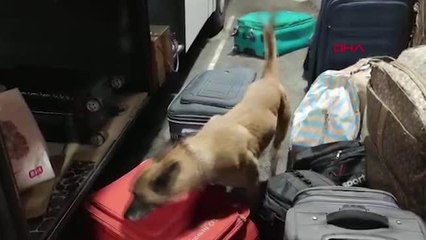 8 KİLO UYUŞTURUCU İLE YAKALANAN 5 İRANLI TUTUKLANDI