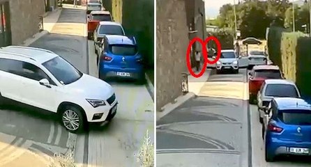 Ezdiği köpeğe aldırış etmeden aracını park edip gitti