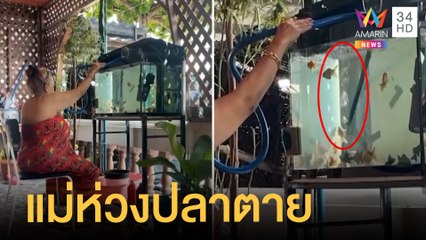 บ้านไฟดับ แม่ห่วงปลาในตู้ตาย นั่งเป่าลมเข้าตู้หวังสร้างออกซิเจน | ข่าวเที่ยงอมรินทร์ | 29 ก.ค.65
