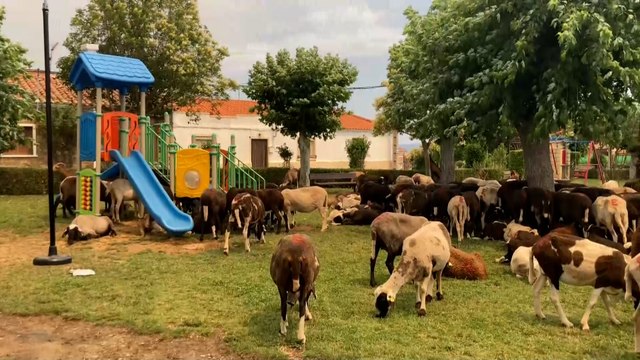 Santiago, ganadero afectado por los incendios en Zamora: Si hay infierno, va a ser mucho más liviano que esto