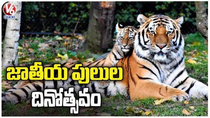 జాతీయ పులుల దినోత్సవం.. National Tigers Day Celebrations _ V6 News
