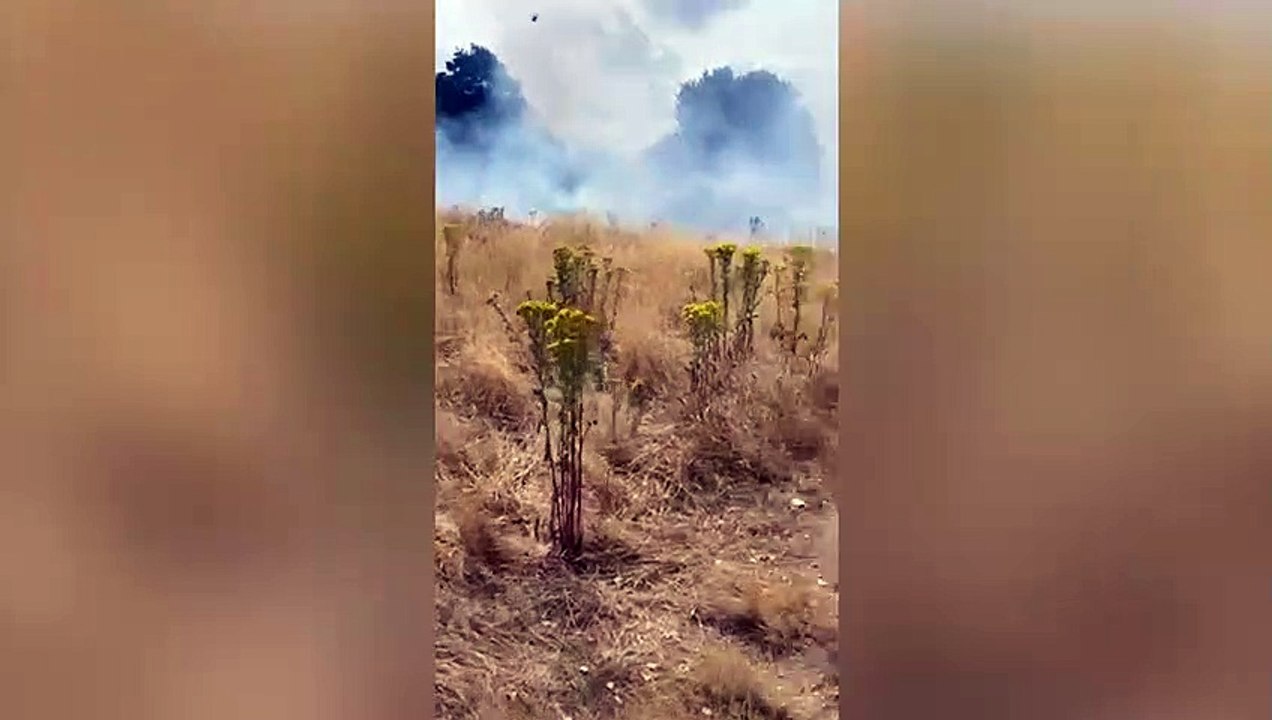 Wanstead Flats fire. Credit SWNS video Dailymotion