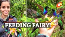 Viral Video | Hummingbirds feed on woman's palm