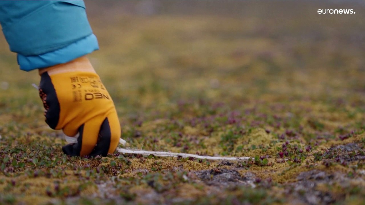 Woher kommt der Plastikmüll auf Spitzbergen?
