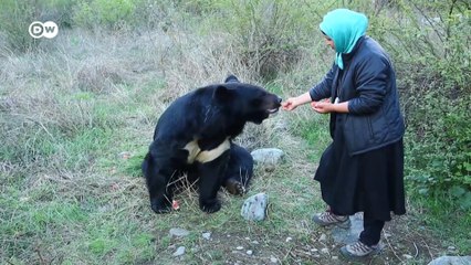 कश्मीर घाटी में जानवरों और इंसानों का बढ़ता टकराव