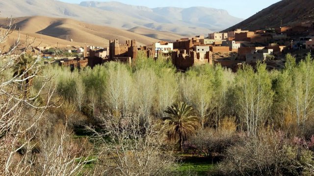 Maroc (Gorges du Dadès-Agoudal)
