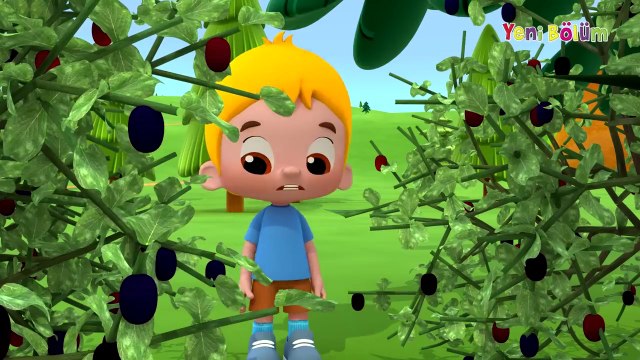 Niloya - YENİ BÖLÜM - Tospik Arama Kurtarma Ekibi