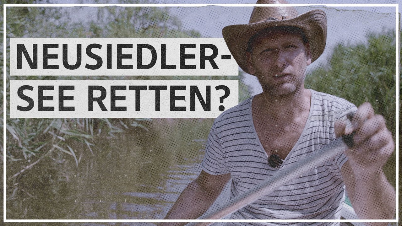 Neusiedler See: Retten oder austrocknen lassen?