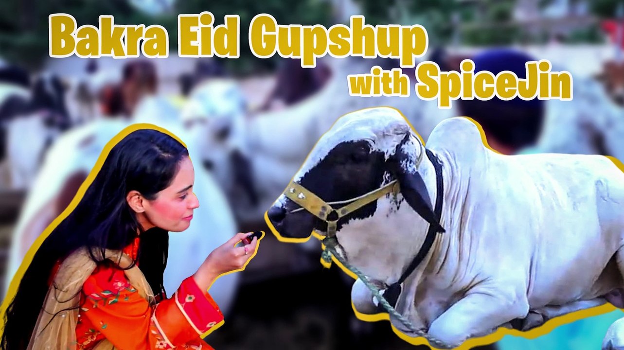 Bakra Eid Gupshup With SpiceJin