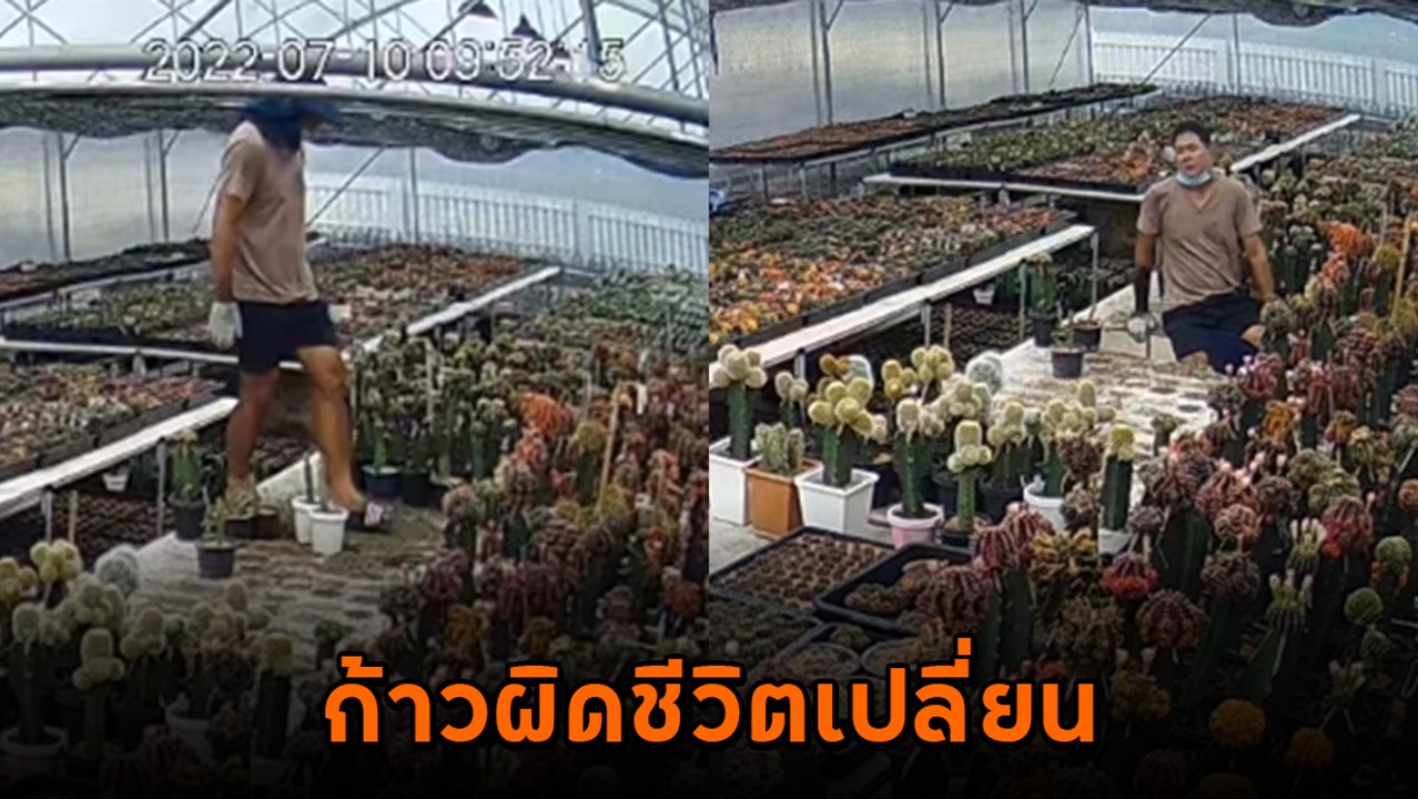 ไวรัล 7 ล้าน ! ก้าวผิดชีวิตเปลี่ยน แค่หญ้าเส้นเดียว เปลี่ยนหนุ่มเป็นมนุษย์เข็มทันที