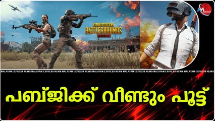 പബ്ജിക്ക് വീണ്ടും പൂട്ട്