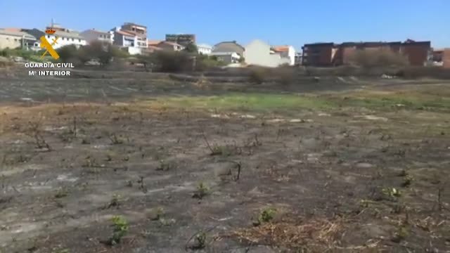 Detienen a un hombre como presunto autor de cuatro incendios en Cáceres