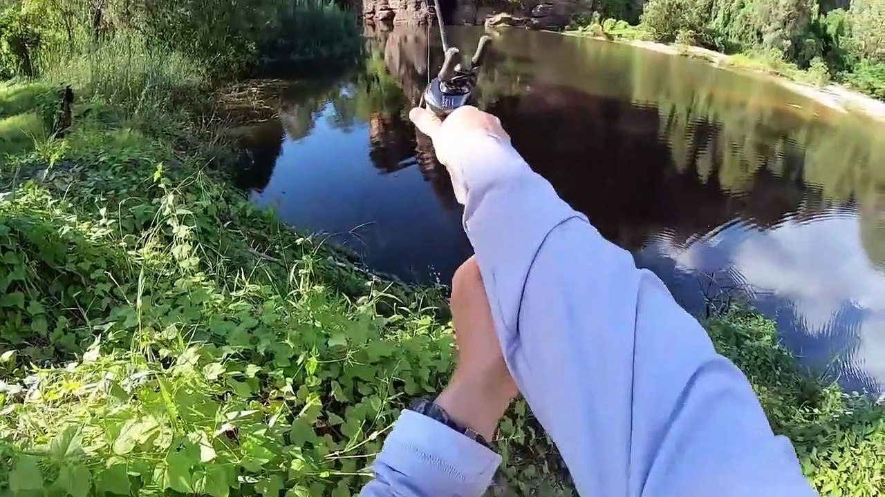 6 Crocodile Encounters You Should Avoid Watching