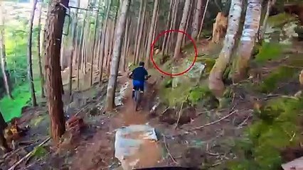 7 Bear Encounters That Will Stress You Out