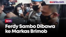 Irjen Ferdy Sambo Dibawa ke Markas Brimob, Diduga Langgar Prosedur saat Olah TKP TewasnyaBrigadir J