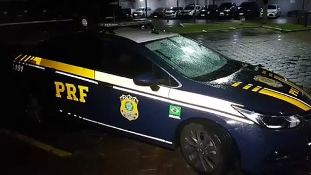 PRF realiza grande apreensão de maconha capulho em Cascavel