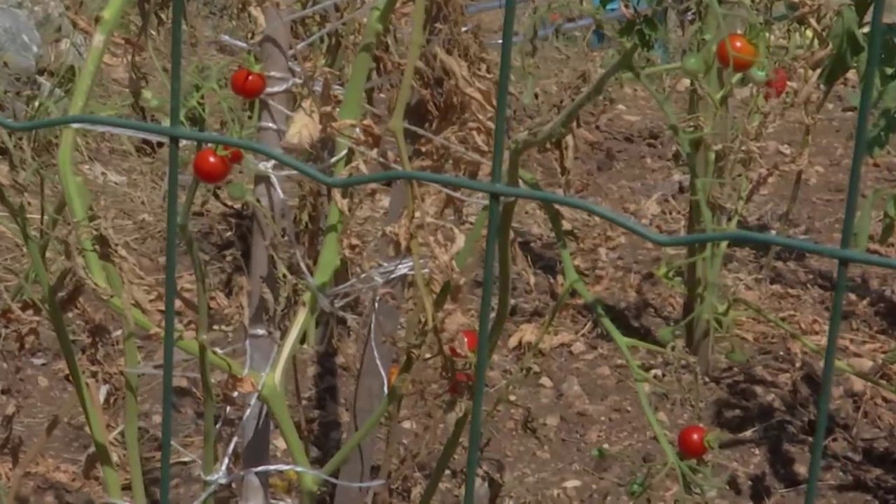 Seillans : les habitants confrontés à la sécheresse