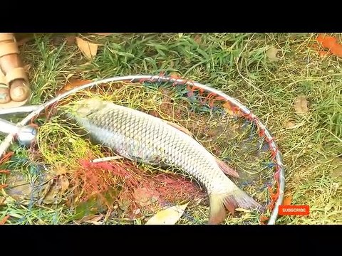 Best Amazing Hook Fishing Video __ Fishing With Hook Catching Rui Fish by Hook