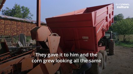 Why is this Basque farmer reviving a traditional, colourful and genetically diverse type of corn?