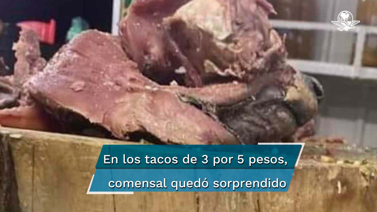 Tacos de cabeza… ¿de perro? Esto encontraron en una taquería de CDMX
