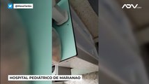 Plaga de cucarachas en el Hospital Pediátrico de Marianao