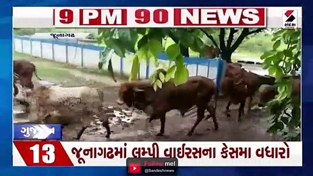 અમદાવાદમાં કોરોનાના કહેર વચ્ચે સ્વાઈન ફ્લૂની એન્ટ્રી