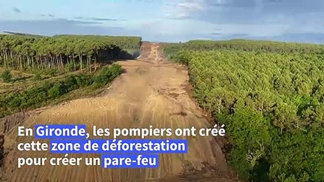Incendies en Gironde : la zone de déforestation créée par les pompiers vue du ciel