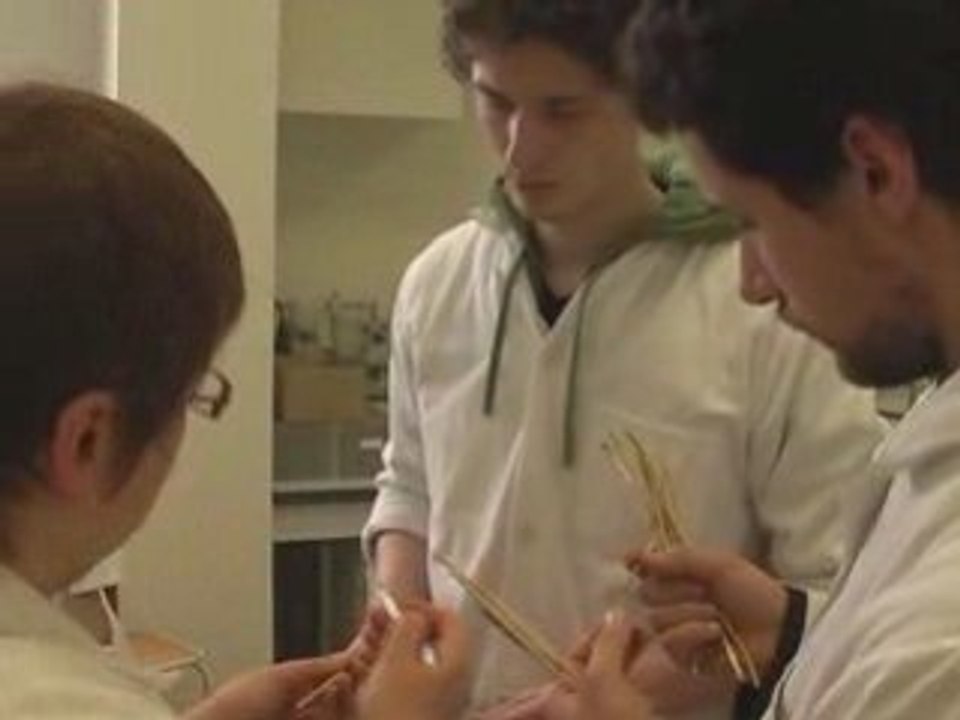 L'iup pvia amiens picardie