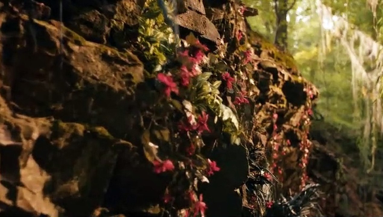 Armans Geheimnis Staffel 2 Folge 4