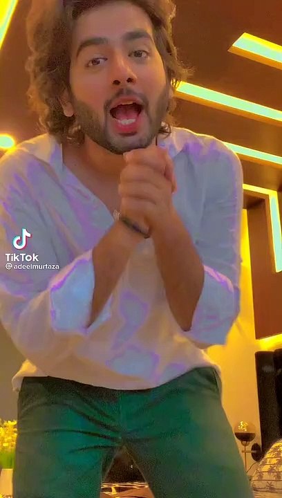 Adeel Murtuza Tiktok Video