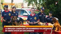 La brigada canina de los Bomberos Voluntariosde Oberá sigue en crecimiento