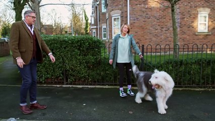 Dogs Behaving (Very) Badly S04E13