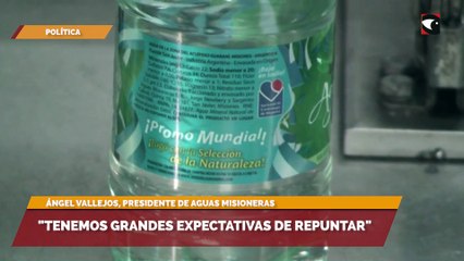 "Tenemos grandes expectativas de repuntar"