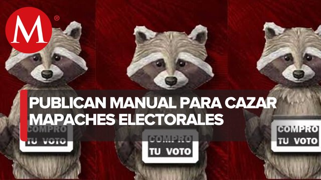 Morenistas crean manual contra ‘mapaches electorales’ en elección de consejeros