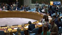ليبيا: مجلس الأمن يمدد ولاية بعثة الأمم المتحدة في البلاد