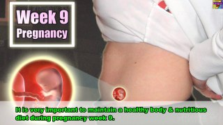 Nutritional Diet For Week 9 Pregnancy, Must NOT Missed These Diets During Pregnancy.