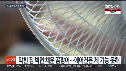 주거빈곤 민낯…곰팡이 방서 땀 뻘뻘 "아이만이라도"