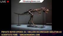 Private buyer spends $6.1 million on dinosaur skeleton as scientists fume - 1BREAKINGNEWS.COM