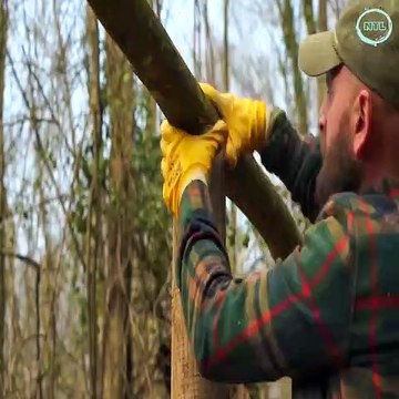 We Built a Forest Survival House in 30 Days. Come and Relax With Us.