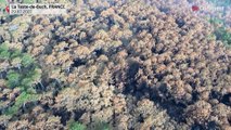 شاهد: صور جوية لحجم الدمار الذي ألحقته الحرائق بالغابات الفرنسية