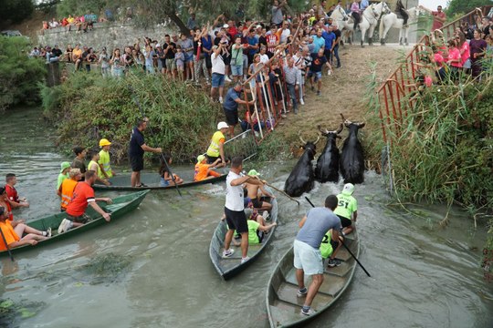 Gase à Gallician fête votive 2022